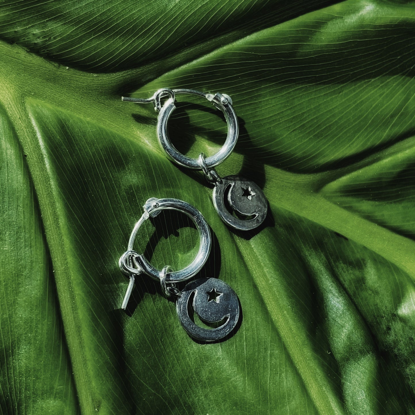 Celestial Hoops